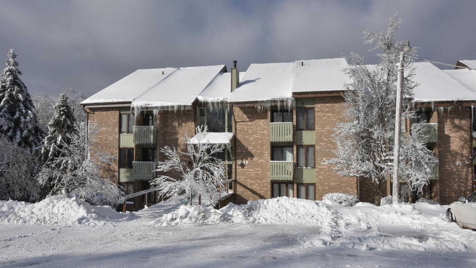 Seven Springs Resort Properties Champion 外观 照片